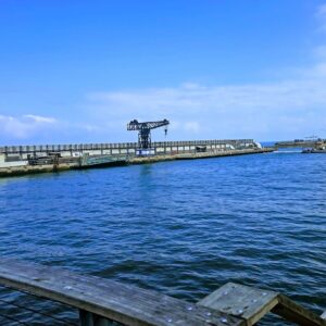 מכרז להפעלת מועדון ספורט ימי בנמל ת"א